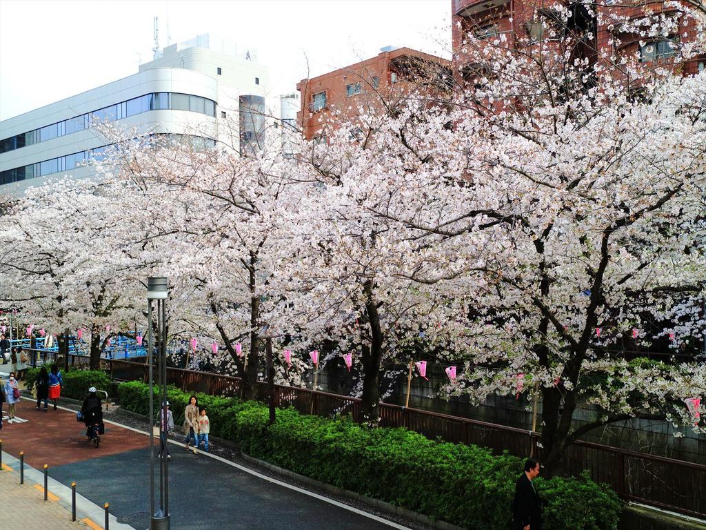Coto Tokyo Shibuya 2 Lägenhet Exteriör bild